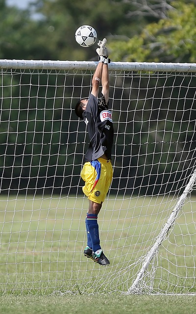 分发挥球员 分发挥球员