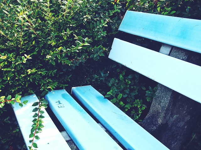 马琳对她的 马琳对她的