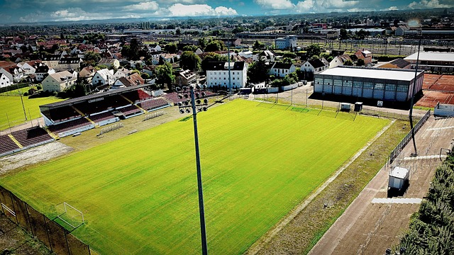 在全球电动 在全球电动