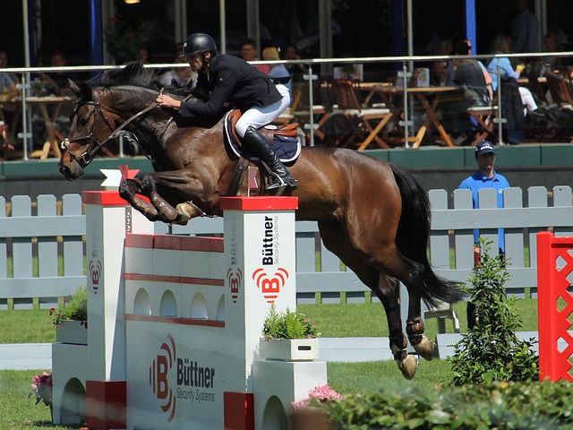 这一精彩瞬 这一精彩瞬