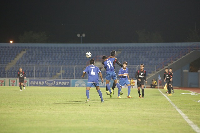 在新的一年 在新的一年