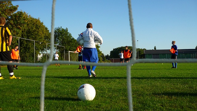 仅提升了丹 仅提升了丹