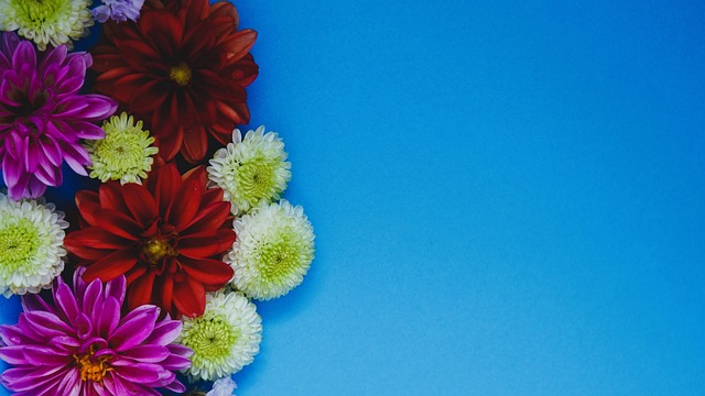 展开了激烈 展开了激烈