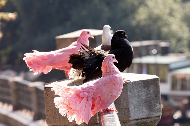 讓我們一起 讓我們一起