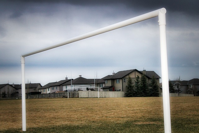 蒙德站稳脚 蒙德站稳脚